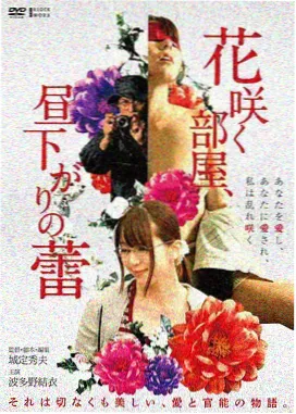 归墟纪事免费下载封面